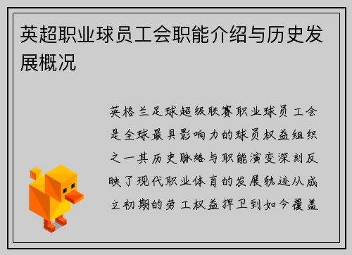 英超职业球员工会职能介绍与历史发展概况